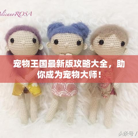 张灯结彩