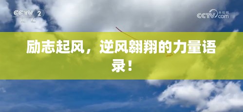 飞蛾扑火