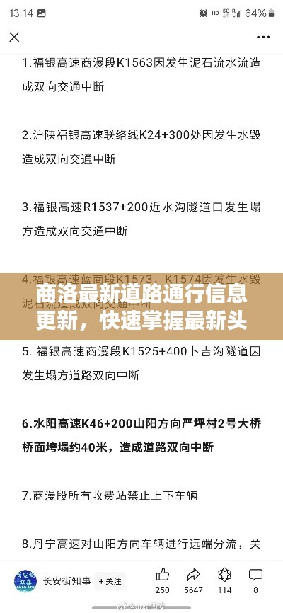 百尺无枝