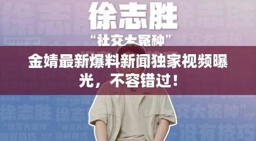 金婧最新爆料新闻独家视频曝光，不容错过！