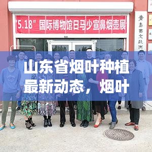 山东省烟叶种植最新动态，烟叶树种植可行性揭秘