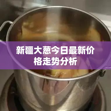开张圣听