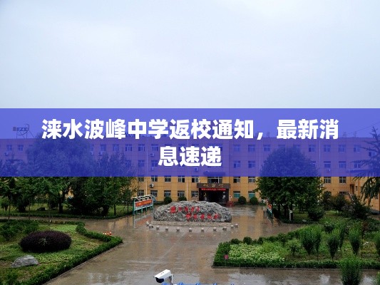 打张鸡儿