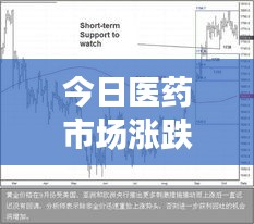 今日医药市场涨跌图表解析，洞悉动态，把握投资机遇