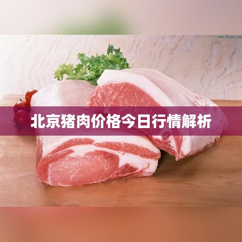 一毫不苟