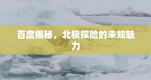 百度揭秘，北极探险的未知魅力