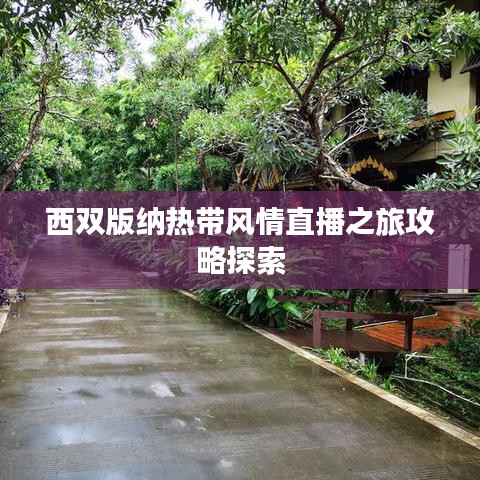 西双版纳热带风情直播之旅攻略探索