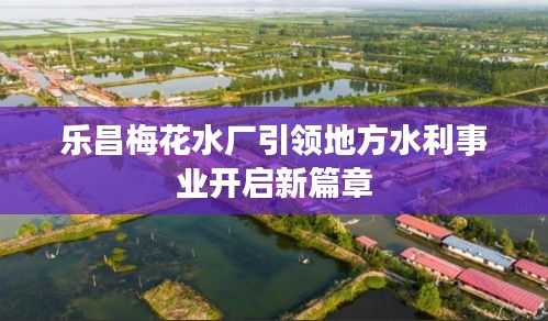 乐昌梅花水厂引领地方水利事业开启新篇章
