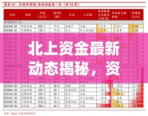 北上资金最新动态揭秘，资金流向排名及投资策略洞察