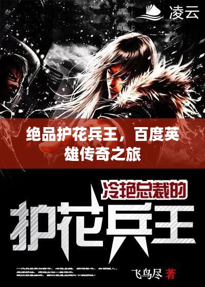 绝品护花兵王，百度英雄传奇之旅