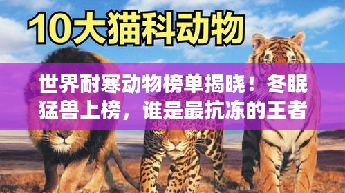 减震支架 第4页