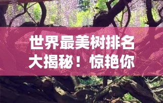 量入为出