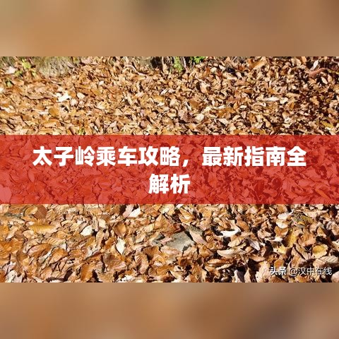 太子岭乘车攻略，最新指南全解析