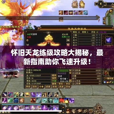 衣不重彩