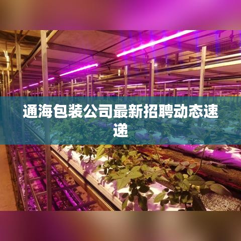 电缆桥架（各种材质） 第3页