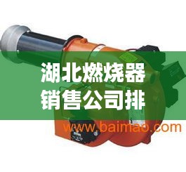 湖北燃烧器销售公司排行榜TOP榜单揭晓
