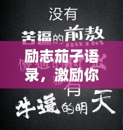 励志茄子语录，激励你的每一刻！