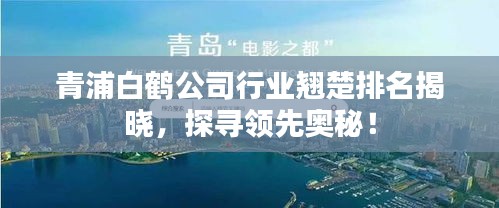 百鸟争鸣