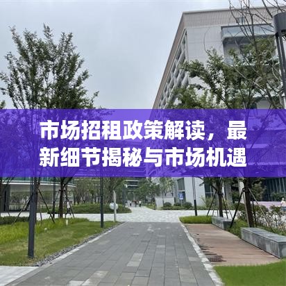 市场招租政策解读，最新细节揭秘与市场机遇展望